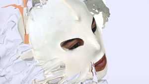 Elaine Hoey's Mimesis | Culture File