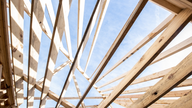 Homes are being built beside Corkagh Park in Dublin (stock image)