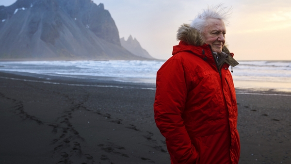 Nature Documentaries