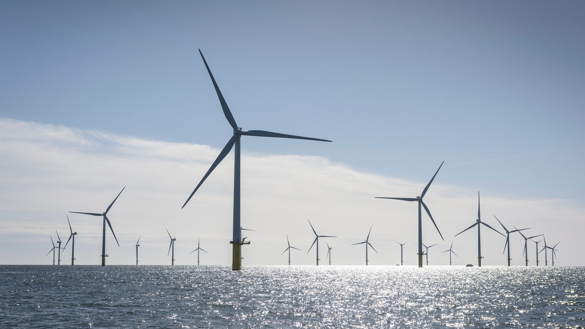 Energy ‘blame game’ over review into electricity supplies