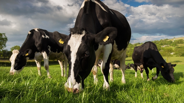 29,031 acres of land were sold at a median price of €6,992 per acre in 2020 compared with 61,997 acres of land sold in 2019