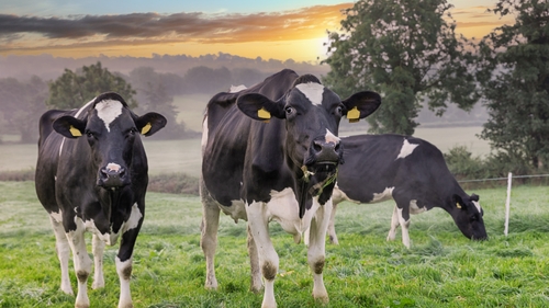 Output prices for produce fell 2.2%, heralding a general decline in returns to most farmers.