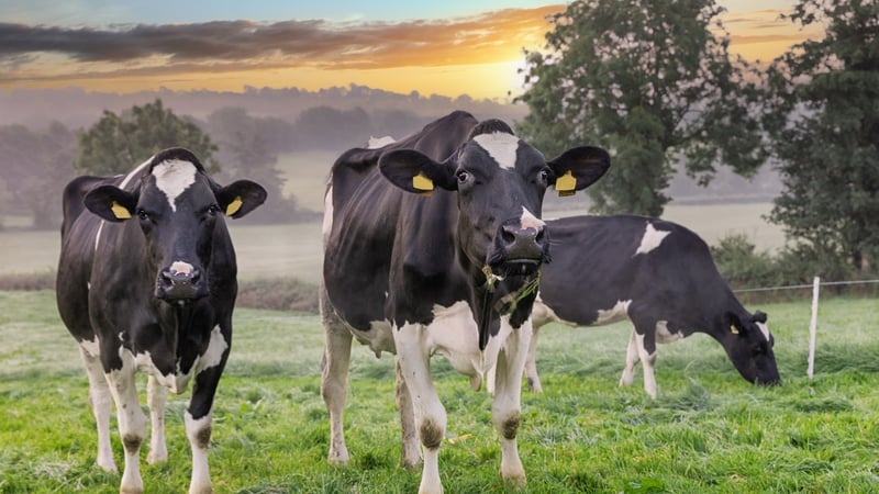 Output prices for produce fell 2.2%, heralding a general decline in returns to most farmers.