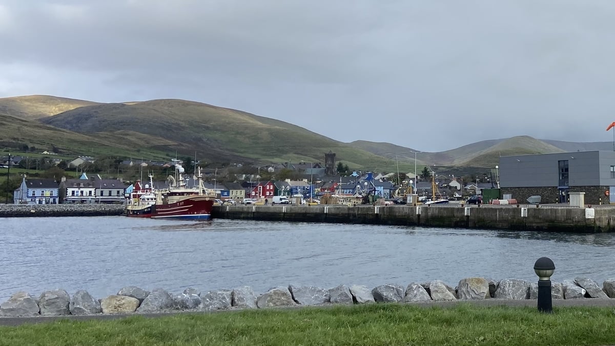 Aodán Ó Conaill;Bainisteoir Cumarsáide Dingle Hub