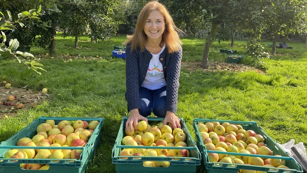 Bernie Brannick founded Falling Fruit Ireland in 2015