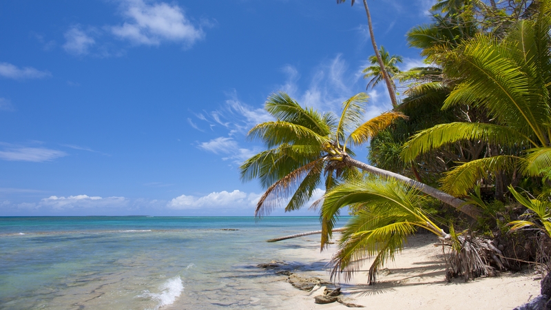 The tiny Pacific kingdom northeast of New Zealand, had been among only a handful of countries to escape Covid-19 (File pic)