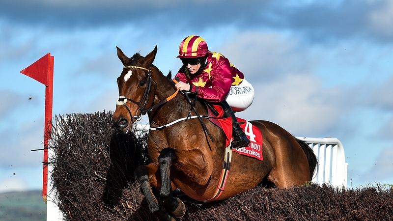 Minella Indo was third at Down Royal behind winner Frodon