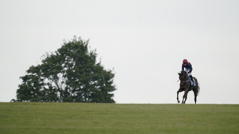 Leigh Roche riding Twilight Jet after winning The Newmarket Academy Godolphin Beacon Project Cornwallis Stakes
