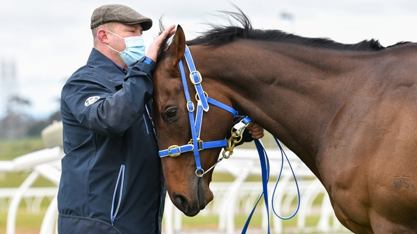 The Peter Moody-trained Incentivise is set to go off the shortest-priced Melbourne Cup favourite since Phar Lap in 1930