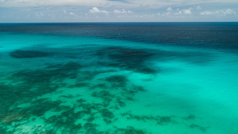 The Prime Minister of Barbados said 2C is a death sentence for people living on the island