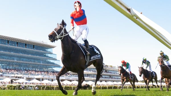 The versatile Verry Elleegant has won 11 Group Ones over trips from seven furlongs to two miles