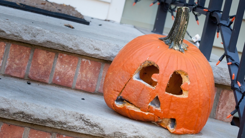 Comedian Emma Doran reflects on the mushy life cycle of a pumpkin in Ireland.