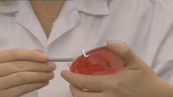 MRSA Superbug