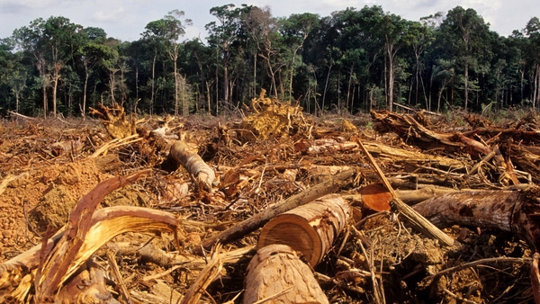 Scientists fear destruction of the Amazon may push it beyond a point of no return, when it can no longer sustain itself and dries out into savannah