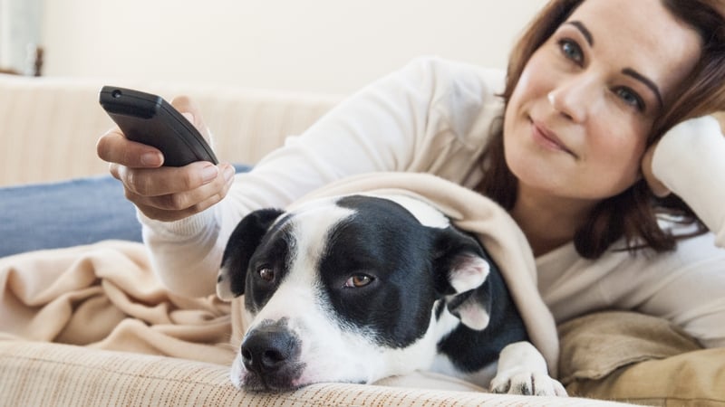 DogTV has been developed following research into animals' physiological and psychological needs, moods and responses to audio and visual stimuli.