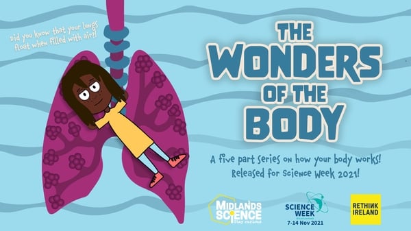 Learn about the wonders of the body!