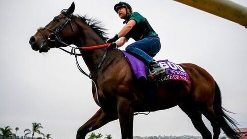 McGuinness' three-year-old will be out to follow up on his ParisLongchamp success