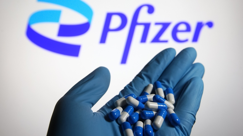 Pfizer said it plans to submit interim trial results for its pill to the FDA in the US (stock image)