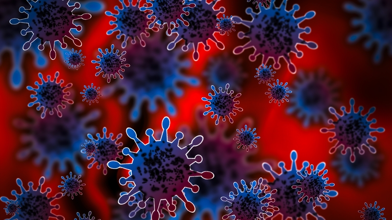 None of this detracts from the case for boosters, which skyrocket the production of all types of antibodies (Stock image)