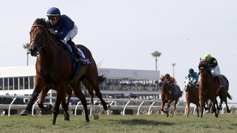 Golden Pal wins the Turf Sprint at Del Mar