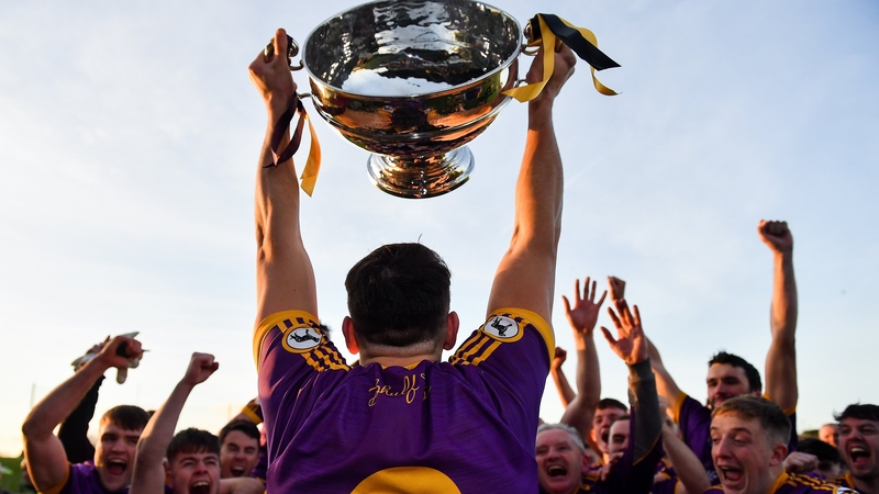 Wolfe Tones captain Shane Glynn as they celebrate their win in the Meath final