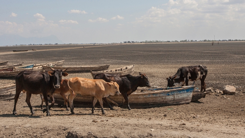 Malawi has been badly affected by drought