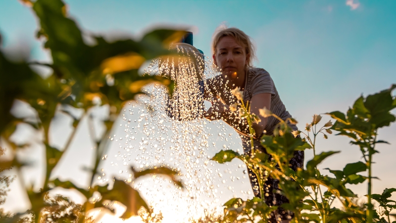 'Highly sensitive people are also more prone to experience Awe, the sense of 'feeling small' and admiration for the natural world'. Photo: Getty Images