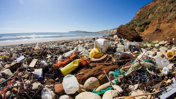 About eight million tonnes of plastic end up in the oceans each year, killing or injuring one million birds and more than 100,000 marine mammals, according to UN figures