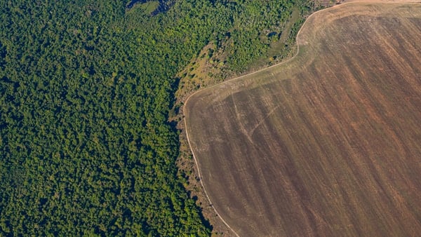 The 13,235 square kilometres of forest lost in the 2020-21 period was the largest swath since 2005-2006