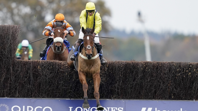 Lostintranslation jumps the last under Brendan Powell