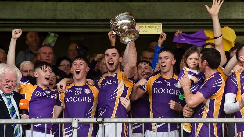 Derrygonnelly Harps are champions again (file pic)