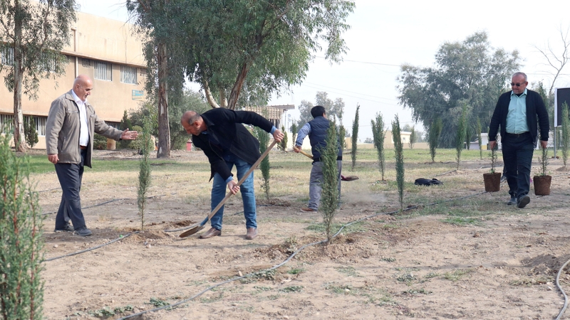 Volunteers placed the first 300 acacia, lemon tree and cypress saplings into the ground