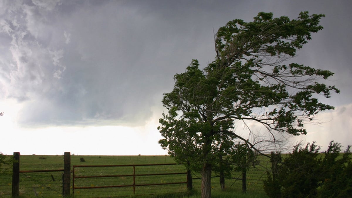 'Severe and damaging gusts' as Storm Amy to disrupt power supply