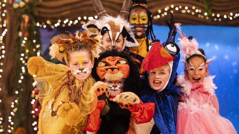 The Late Late Toy Show airs on Friday, November 26th on RTÉ One at 9:35pm.