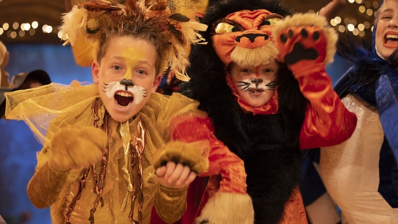 The Late Late Toy Show Appeal has now raised €3 million