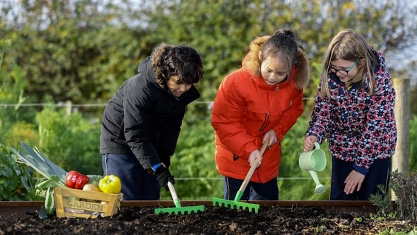 Incredible Edibles: Dig in and grow your own food at school!