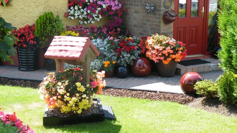 Pat McPhilbin's award-winning garden in Mervue