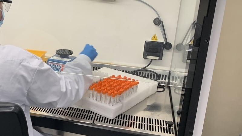 World Health Organization has said it will take several weeks to assess the threat posed by Omicron (File image)