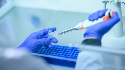 There are indications that Omicron could cause over half of all Covid-19 infections in the EU/EEA within the next few months