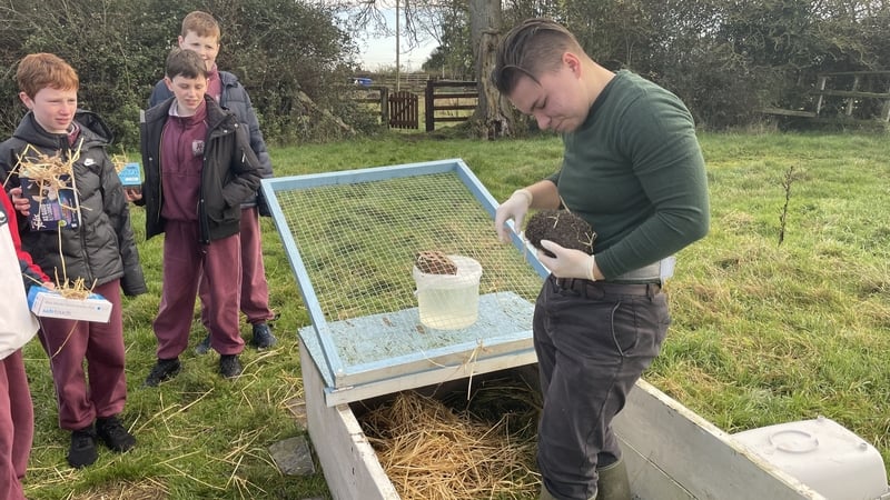Currently, the Wildlife Hospital is located at the back of Tara Na Rí pub, at Garlow Cross on the outskirts of Navan