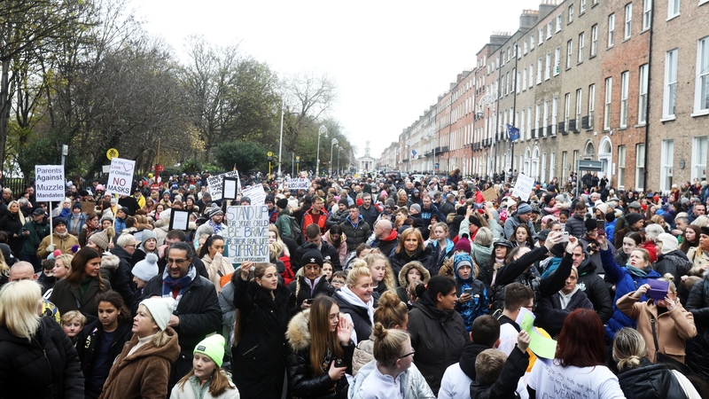 Demonstrators gathered on Merrion Square (Pic:RollingNews.ie)