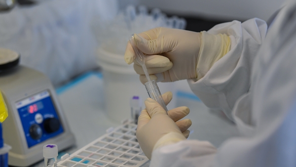 Excess death figures include those who died from Covid-19 without having been tested as well as from other illnesses (File image)