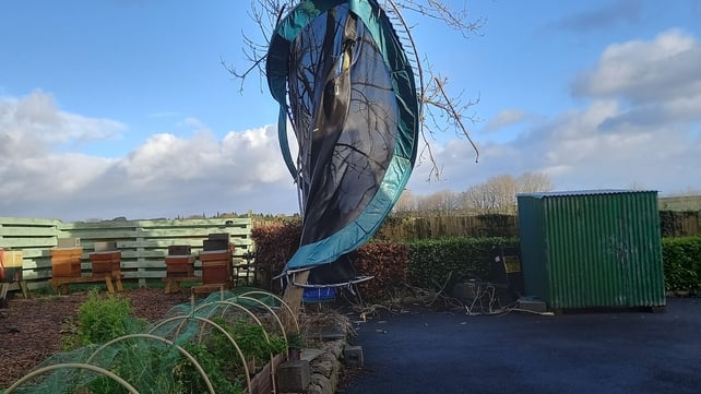 It's the end of the line for this trampoline which ended up wrapped around a tree in Rathgormack, Waterford (Pic: PJ Fegan)