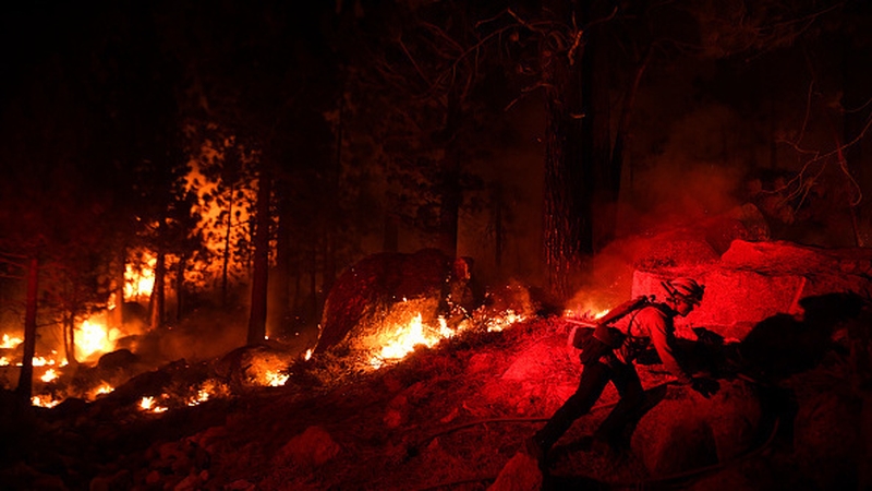 Firefighters battle the Caldor Fire along highway 89 west of Lake Tahoe