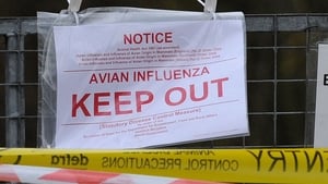 Possible Bird flu outbreak show image