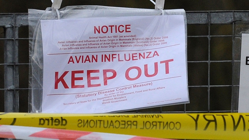 A farm in Yorkshire was sealed off due to an outbreak of avian flu last month