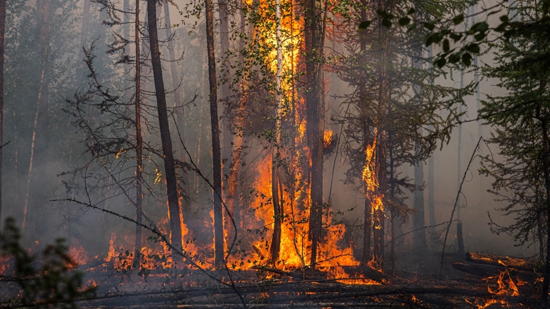 One of many forest fires in Siberia in July, fuelled by a June heatwave