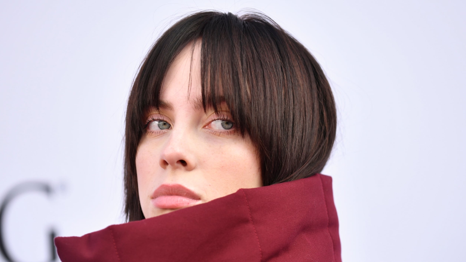 Billie Eilish says pornography destroyed my brain