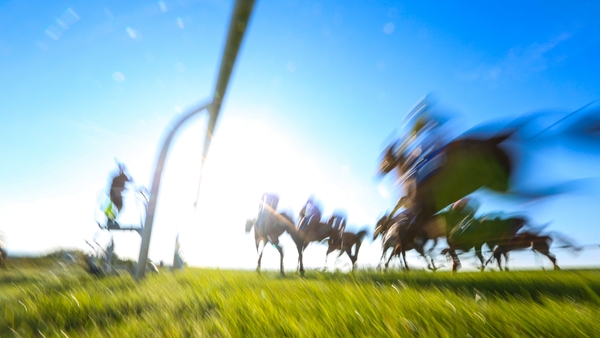 Oireachtas members were reportedly hosted at a gambling industry hospitality tent at the Punchestown Races (File image)