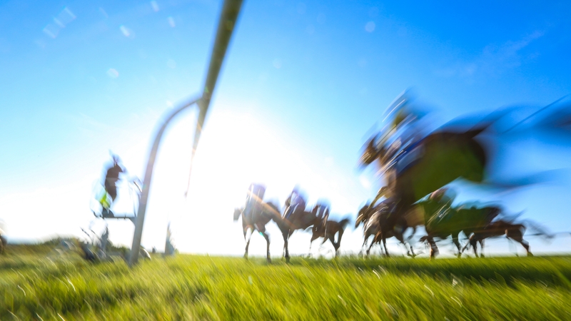 Oireachtas members were reportedly hosted at a gambling industry hospitality tent at the Punchestown Races (File image)